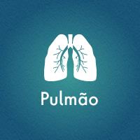 Pulmao01